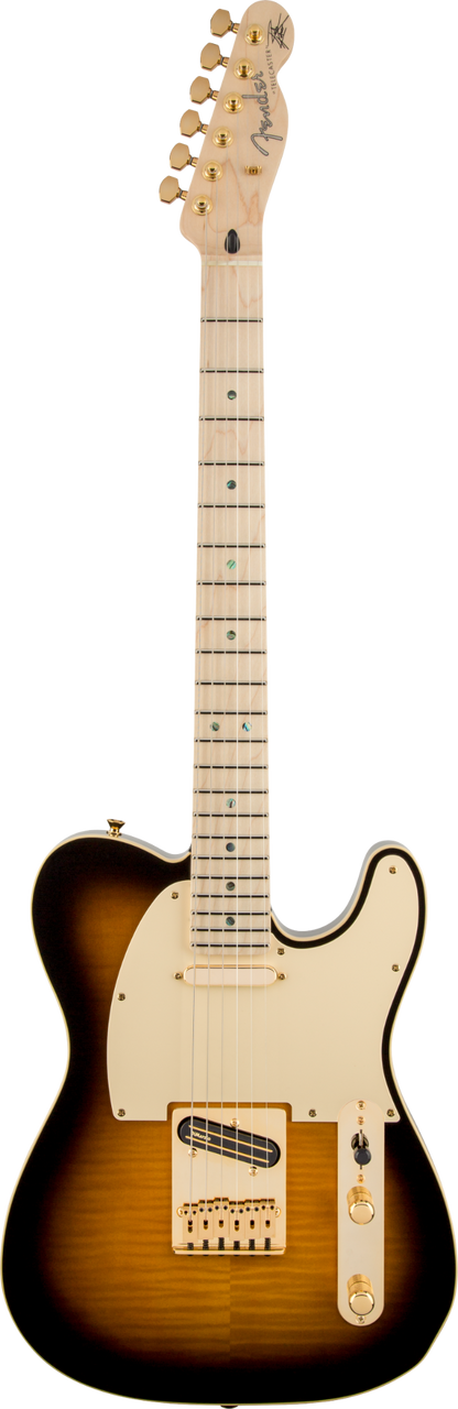 Fender Richie Kotzen Telecaster Brown Sunburst Maple Neck