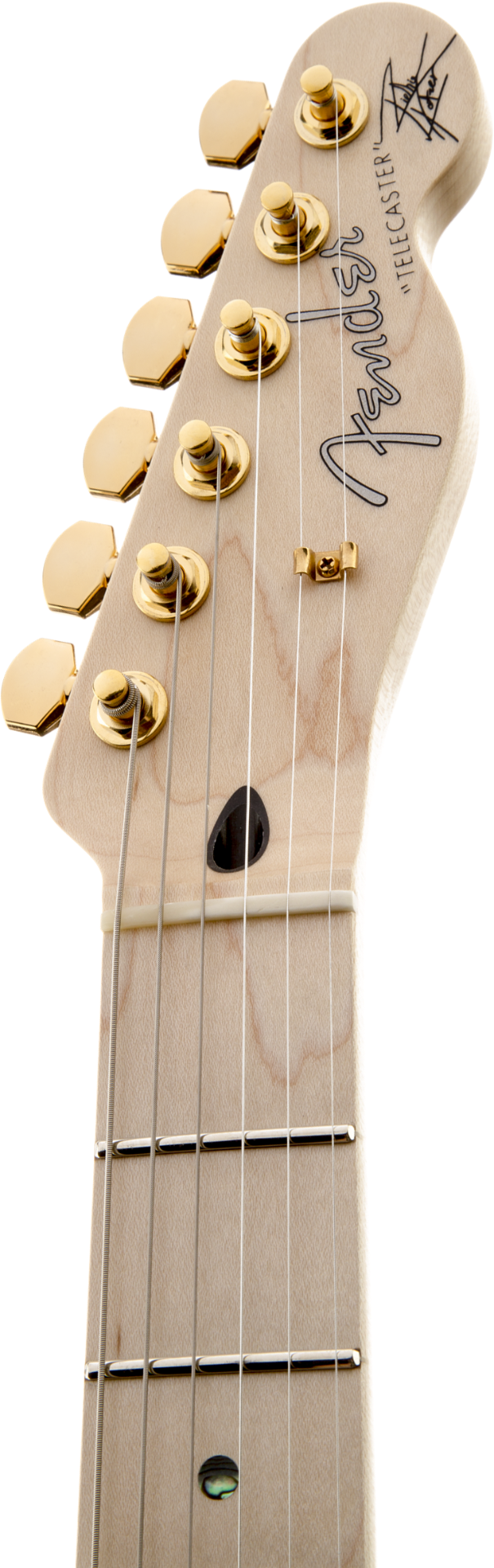 Fender Richie Kotzen Telecaster Brown Sunburst Maple Neck