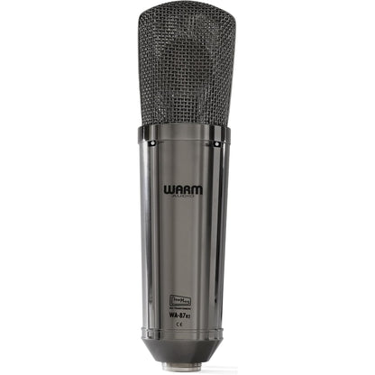 Warm Audio WA-87 R2 TS Stereo Pair - Limited Edition Titanium