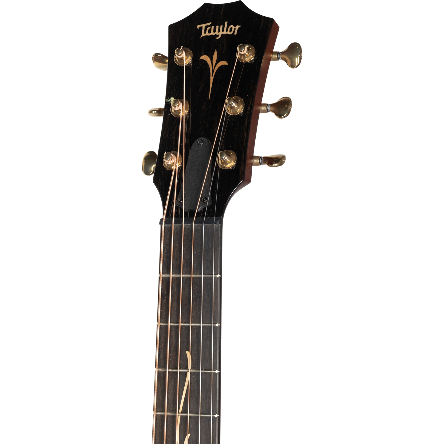 Taylor GT K21e Koa Grand Theater Acoustic-Electric Guitar - Hawaiian Koa