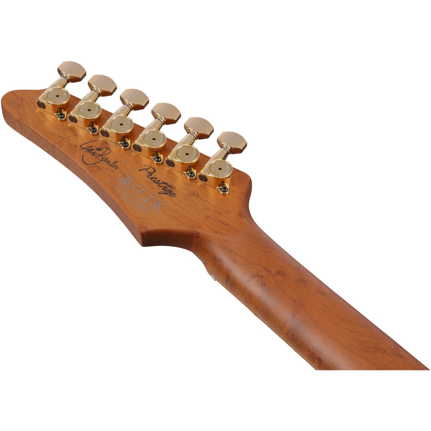 Ibanez LB1 Lari Basilio Signature 6-String Electric Guitar - Black