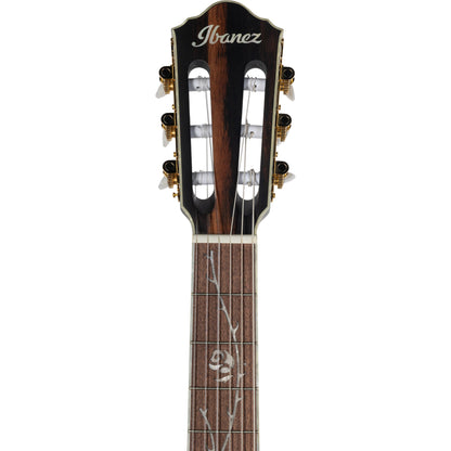 Ibanez TOD10N Left Handed Acoustic Electric Guitar - Transparent Black Flat