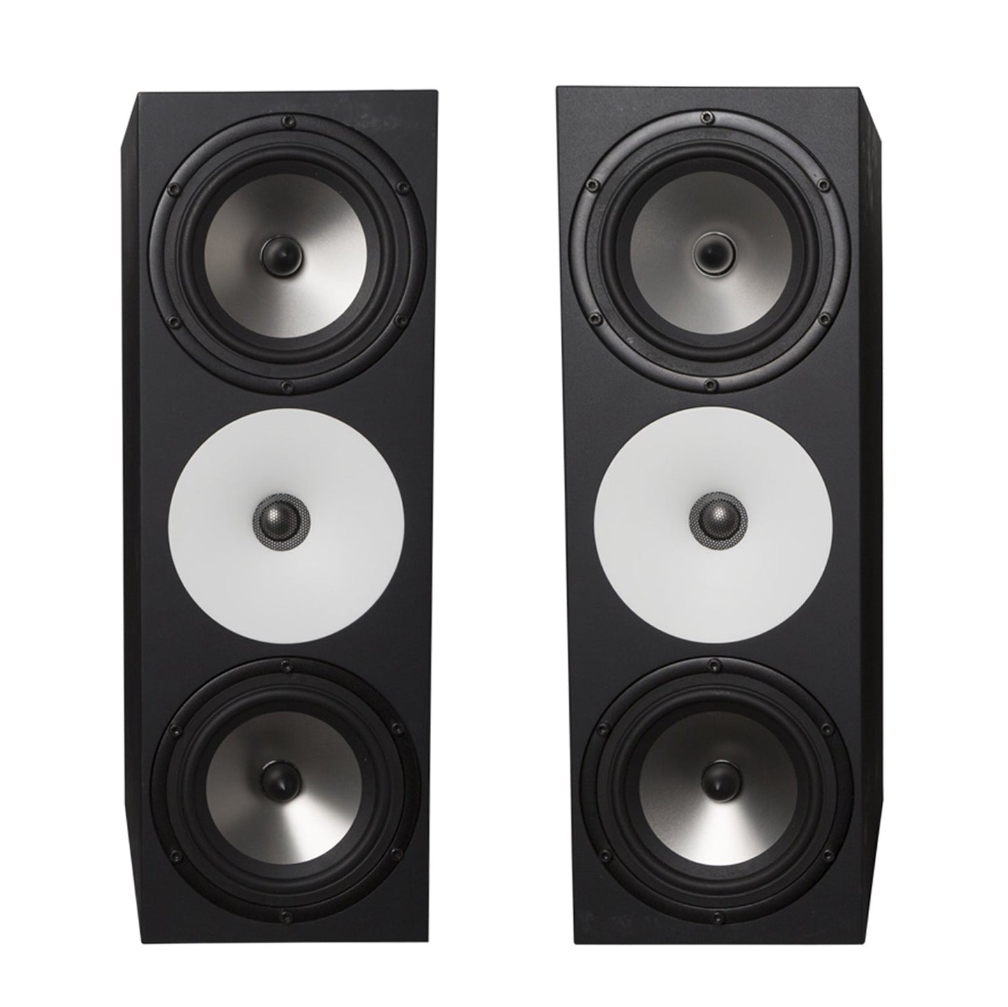 Amphion Two18 Dual 6.5" Passive Studio Monitor