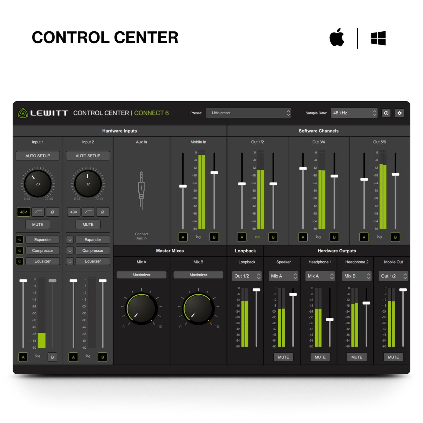 Lewitt Connect 6 USB-C Interface