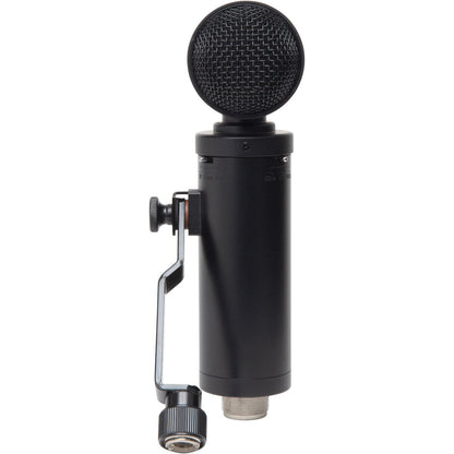Lauten Audio LS-308 Front Address Large Diaphragm Condenser Microphone