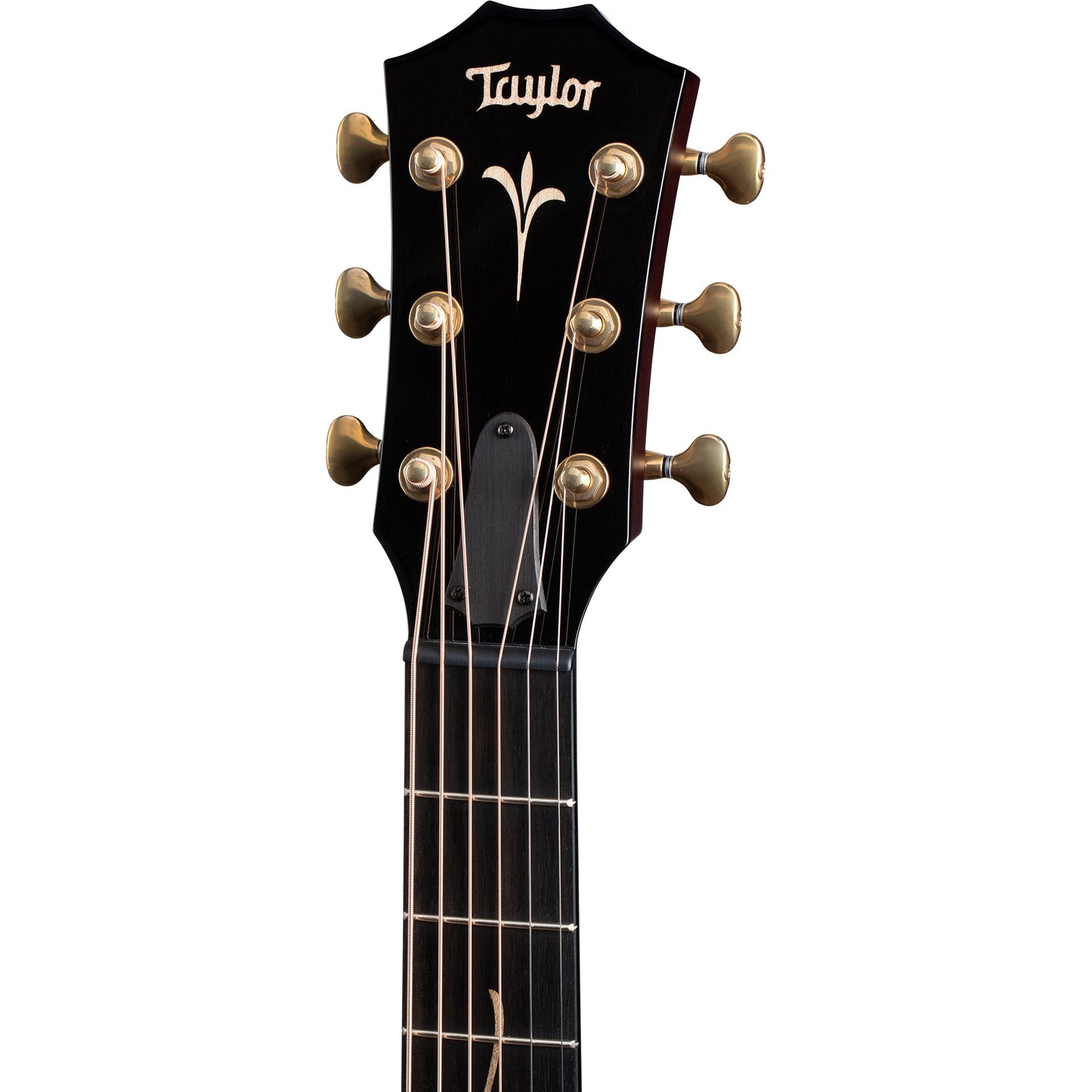 Taylor GT K21e Koa Grand Theater Acoustic-Electric Guitar - Hawaiian Koa
